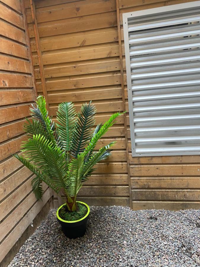 Avec Jardinet Sans Vis à Vis Plein Centre Au Rdc 350m De La Apartamento Dieppe